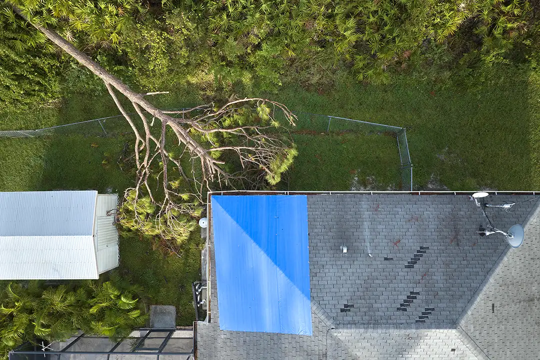 Roof damage due to fallen tree in California