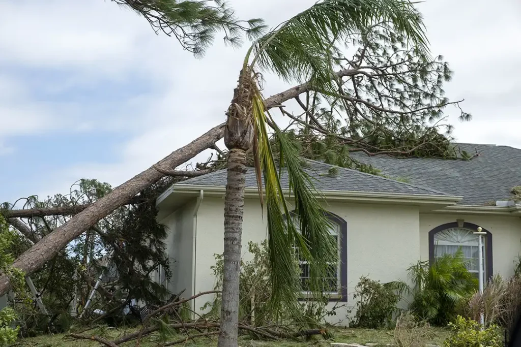 Roof damage from storm