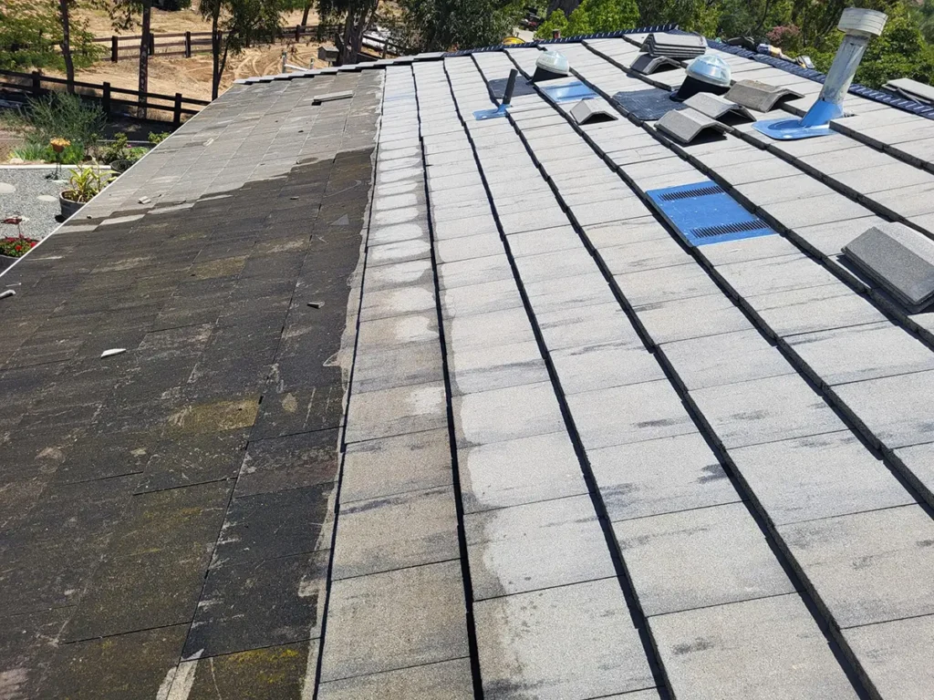 Partially cleaned flat tile roof showing the difference between algae-covered and cleaned tiles
